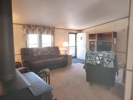 4297 N Wilderness Trl, Luther, MI 49656 - living area with healthy amount of natural light and carpet