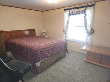 4297 N Wilderness Trl, Luther, MI 49656 - carpeted bedroom with multiple windows