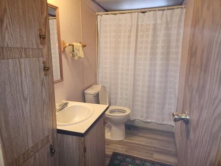 4297 N Wilderness Trl, Luther, MI 49656 - bathroom with toilet, wood finished floors, and vanity