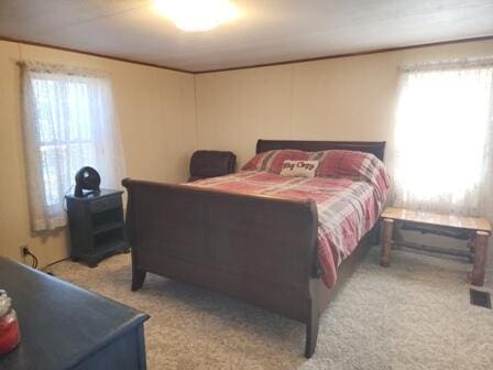 4297 N Wilderness Trl, Luther, MI 49656 - view of carpeted bedroom