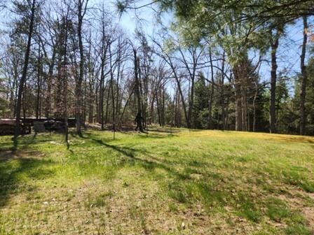 4297 N Wilderness Trl, Luther, MI 49656 - view of green lawn featuring a forest view