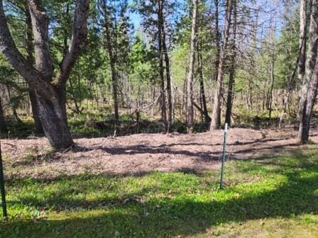4297 N Wilderness Trl, Luther, MI 49656 - view of undeveloped land