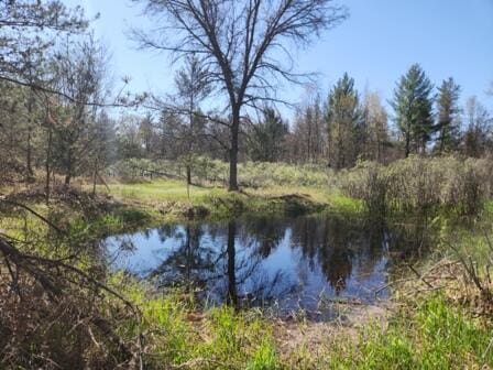 4297 N Wilderness Trl, Luther, MI 49656 - water view