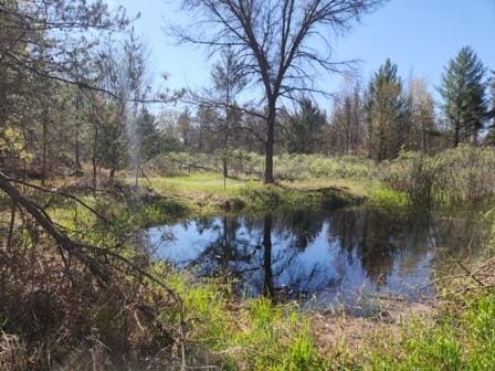 4297 N Wilderness Trl, Luther, MI 49656 - water view