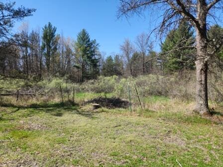 4297 N Wilderness Trl, Luther, MI 49656 - view of undeveloped land