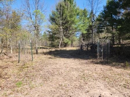 4297 N Wilderness Trl, Luther, MI 49656 - view of nature