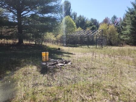 4297 N Wilderness Trl, Luther, MI 49656 - view of yard