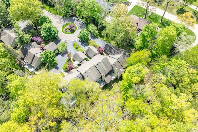 22366 Valley Oaks Dr, Beverly Hills, MI 48025 - aerial perspective of suburban area