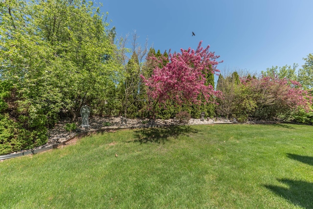 5835 S Ashford Way, Ypsilanti, MI 48197 - view of grassy yard
