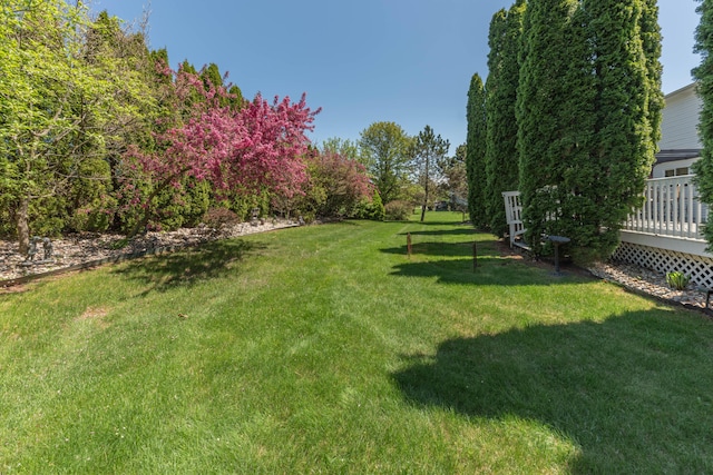 5835 S Ashford Way, Ypsilanti, MI 48197 - view of green lawn