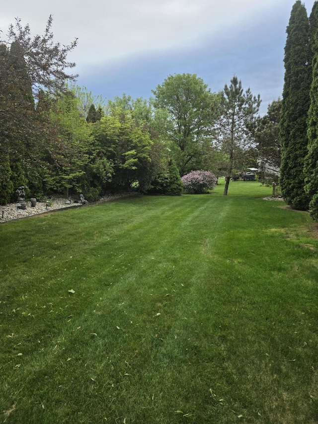 5835 S Ashford Way, Ypsilanti, MI 48197 - view of grassy yard