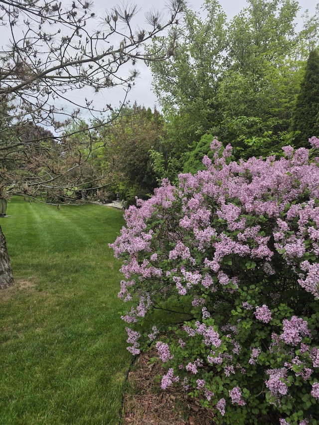 5835 S Ashford Way, Ypsilanti, MI 48197 - view of grassy yard
