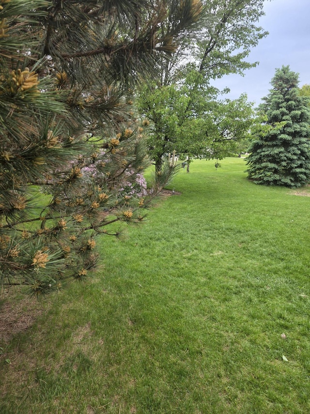 5835 S Ashford Way, Ypsilanti, MI 48197 - view of grassy yard