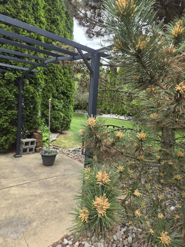 5835 S Ashford Way, Ypsilanti, MI 48197 - view of yard with a pergola and a patio area