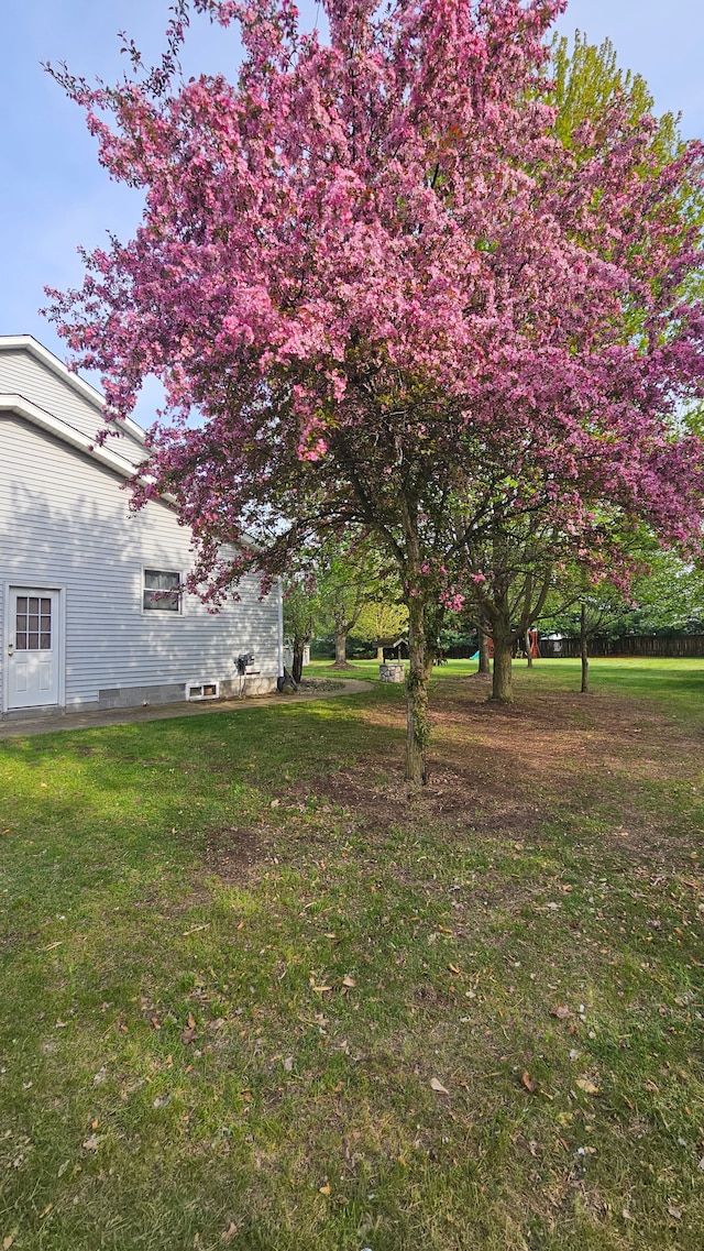 view of grassy yard