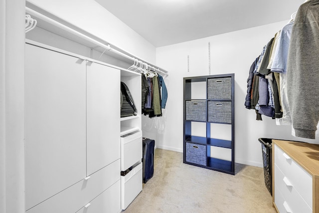 744 Lockmoore Ct, Rochester Hills, MI 48307 - spacious closet with light carpet