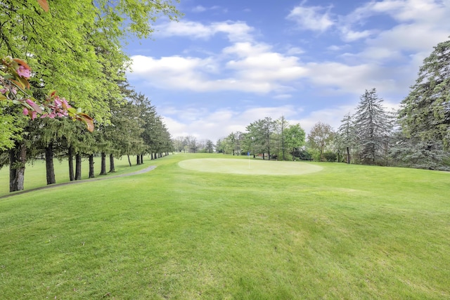 744 Lockmoore Ct, Rochester Hills, MI 48307 - view of property's community featuring an area to practice putting, a lawn, golf course view, and view of scattered trees