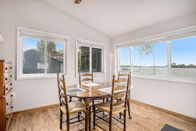 820 N Werners Landing Dr, Bronson, MI 49028 - dining room featuring lofted ceiling, light wood finished floors, healthy amount of natural light, and baseboards