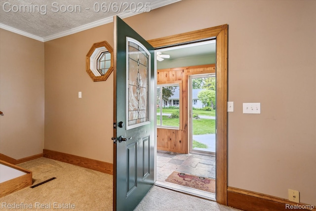 101 Hill St, Stockbridge, MI 49285 - carpeted foyer entrance with baseboards, ornamental molding, and a textured ceiling