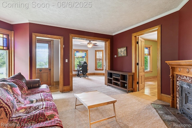 101 Hill St, Stockbridge, MI 49285 - living room with plenty of natural light, carpet flooring, a textured ceiling, ornamental molding, and a premium fireplace