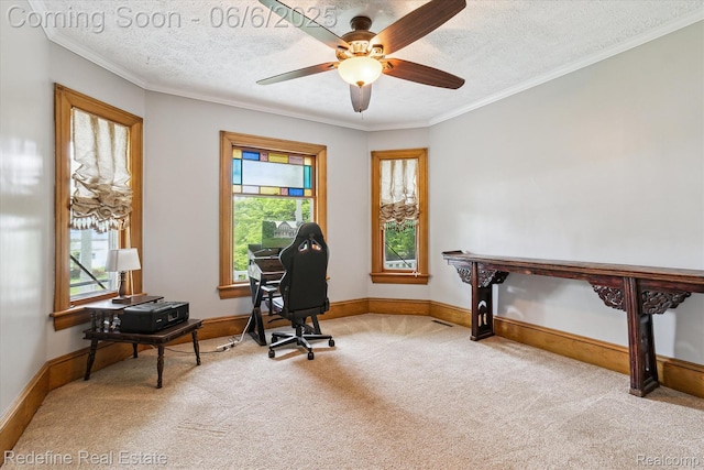 101 Hill St, Stockbridge, MI 49285 - carpeted office space featuring a ceiling fan, crown molding, a textured ceiling, and baseboards