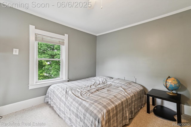 101 Hill St, Stockbridge, MI 49285 - carpeted bedroom featuring ornamental molding and baseboards
