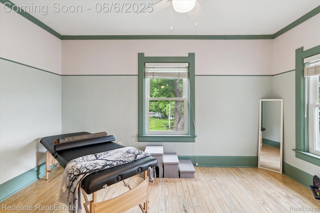 101 Hill St, Stockbridge, MI 49285 - bedroom with crown molding, multiple windows, wood finished floors, and baseboards