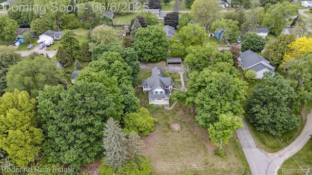 101 Hill St, Stockbridge, MI 49285 - view of property location featuring nearby suburban area and a tree filled landscape