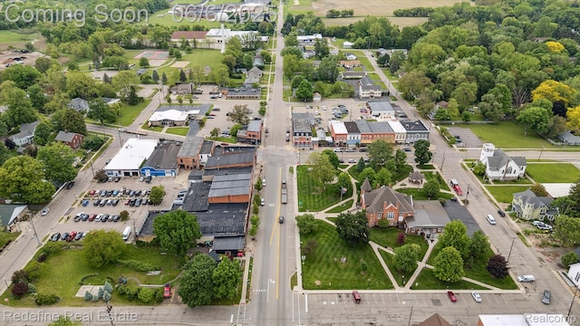 101 Hill St, Stockbridge, MI 49285 - aerial view of property's location