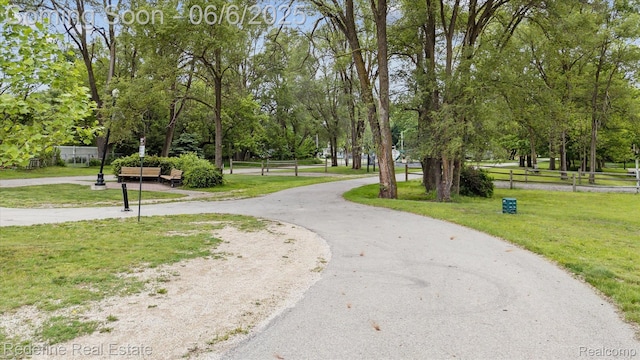 101 Hill St, Stockbridge, MI 49285 - view of property's community featuring curved driveway and view of scattered trees