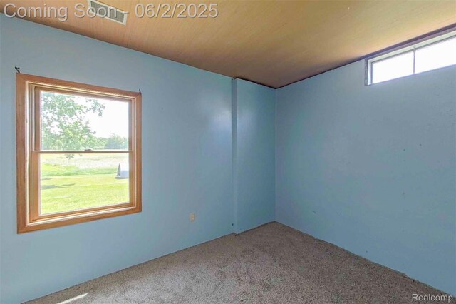 3749 Chase Lake Rd, Howell, MI 48855 - unfurnished room with carpet floors