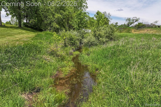 3749 Chase Lake Rd, Howell, MI 48855 - view of undeveloped land