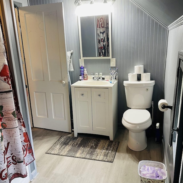 326 N Oak St, Owosso, MI 48867 - bathroom with wood finished floors, toilet, and vanity