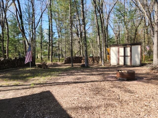1631 W Lone Pine Rd, Baldwin, MI 49304 - view of yard with a storage unit and an outbuilding
