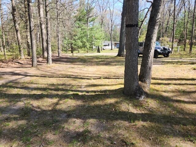 1631 W Lone Pine Rd, Baldwin, MI 49304 - view of grassy yard