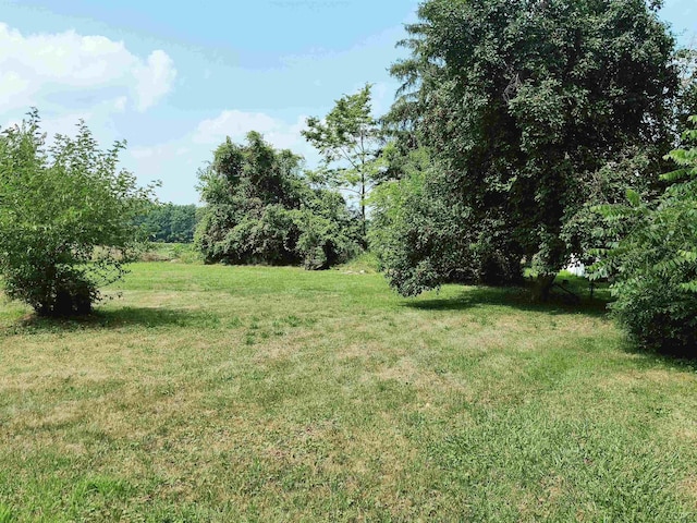 356 S Monroe St, Blissfield, MI 49228 - photo 3