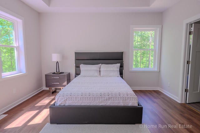 8828 Division Ave S, Byron Center, MI 49315 - bedroom featuring wood finished floors, baseboards, and a tray ceiling