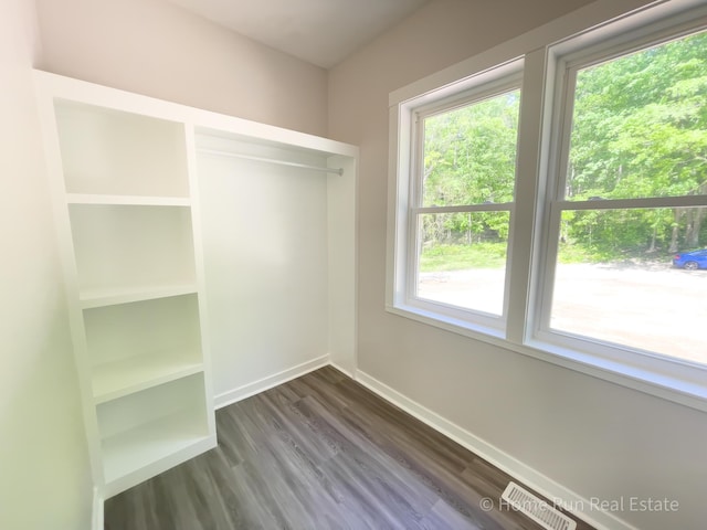 8828 Division Ave S, Byron Center, MI 49315 - spacious closet with dark wood finished floors