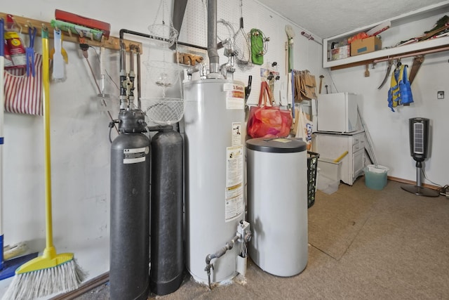 555 S Lakeside Dr, Michigan Center, MI 49254 - utilities with gas water heater