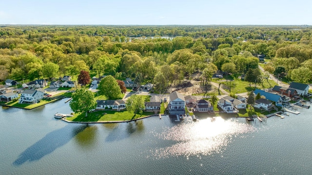 555 S Lakeside Dr, Michigan Center, MI 49254 - aerial view of residential area with a forest and a nearby body of water