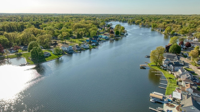 555 S Lakeside Dr, Michigan Center, MI 49254 - drone / aerial view of a nearby body of water and a forest