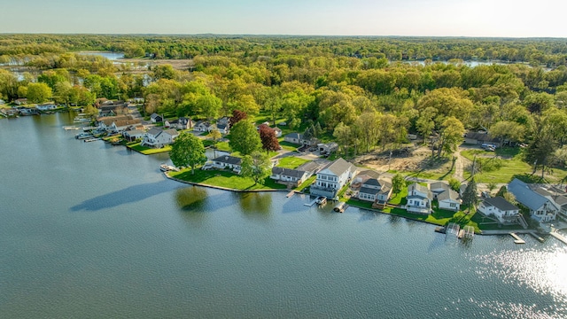 555 S Lakeside Dr, Michigan Center, MI 49254 - aerial perspective of suburban area with a nearby body of water and a heavily wooded area