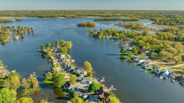555 S Lakeside Dr, Michigan Center, MI 49254 - aerial view of a large body of water and a forest
