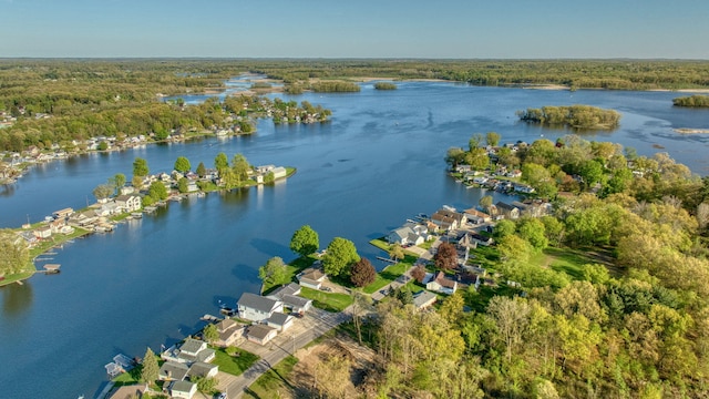 555 S Lakeside Dr, Michigan Center, MI 49254 - aerial view of residential area with a large body of water and a forest