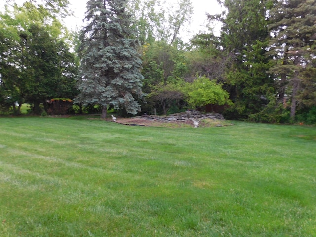 5244 Folkstone Dr, Troy, MI 48085 - view of green lawn