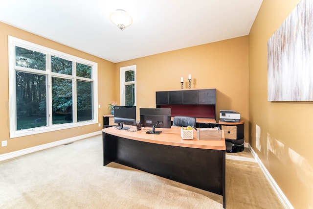 8307 Granite Ct, Dexter, MI 48130 - office area featuring carpet flooring and baseboards