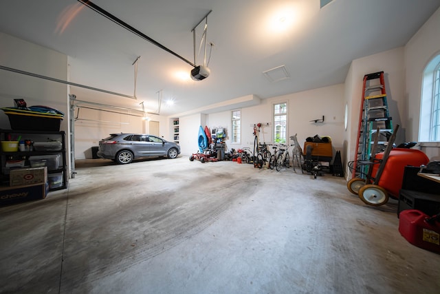 8307 Granite Ct, Dexter, MI 48130 - garage with a garage door opener