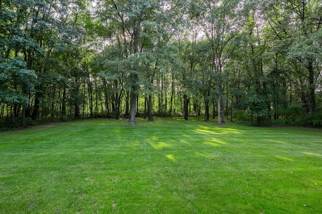 8307 Granite Ct, Dexter, MI 48130 - view of green lawn