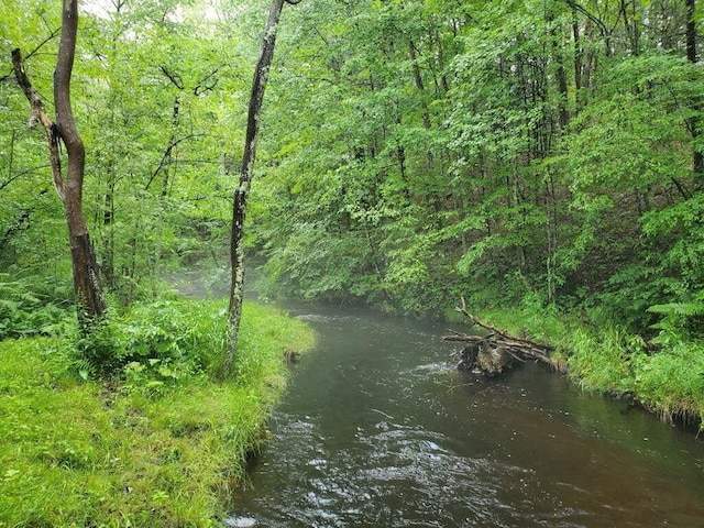 1977 E 40th St, White Cloud, MI 49349 - water view featuring a forest