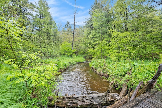 1977 E 40th St, White Cloud, MI 49349 - water view